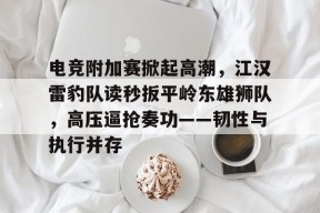 电竞附加赛掀起高潮，江汉雷豹队读秒扳平岭东雄狮队，高压逼抢奏功——韧性与执行并存的简单介绍